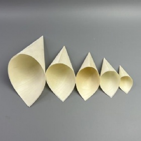 Eco-Friendly Biodegradable Disposable Wooden Cone Food Containers Wooden SUSHI Wooden Hand Rolled Sushi Containers